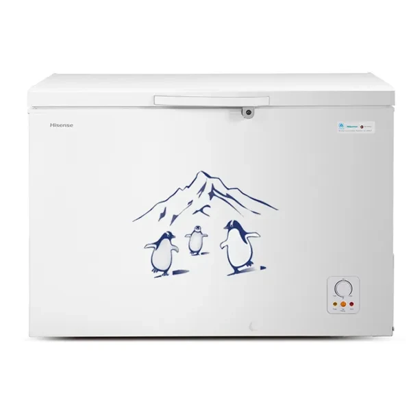 Hisense 400L Chest Freezer | High Capacity